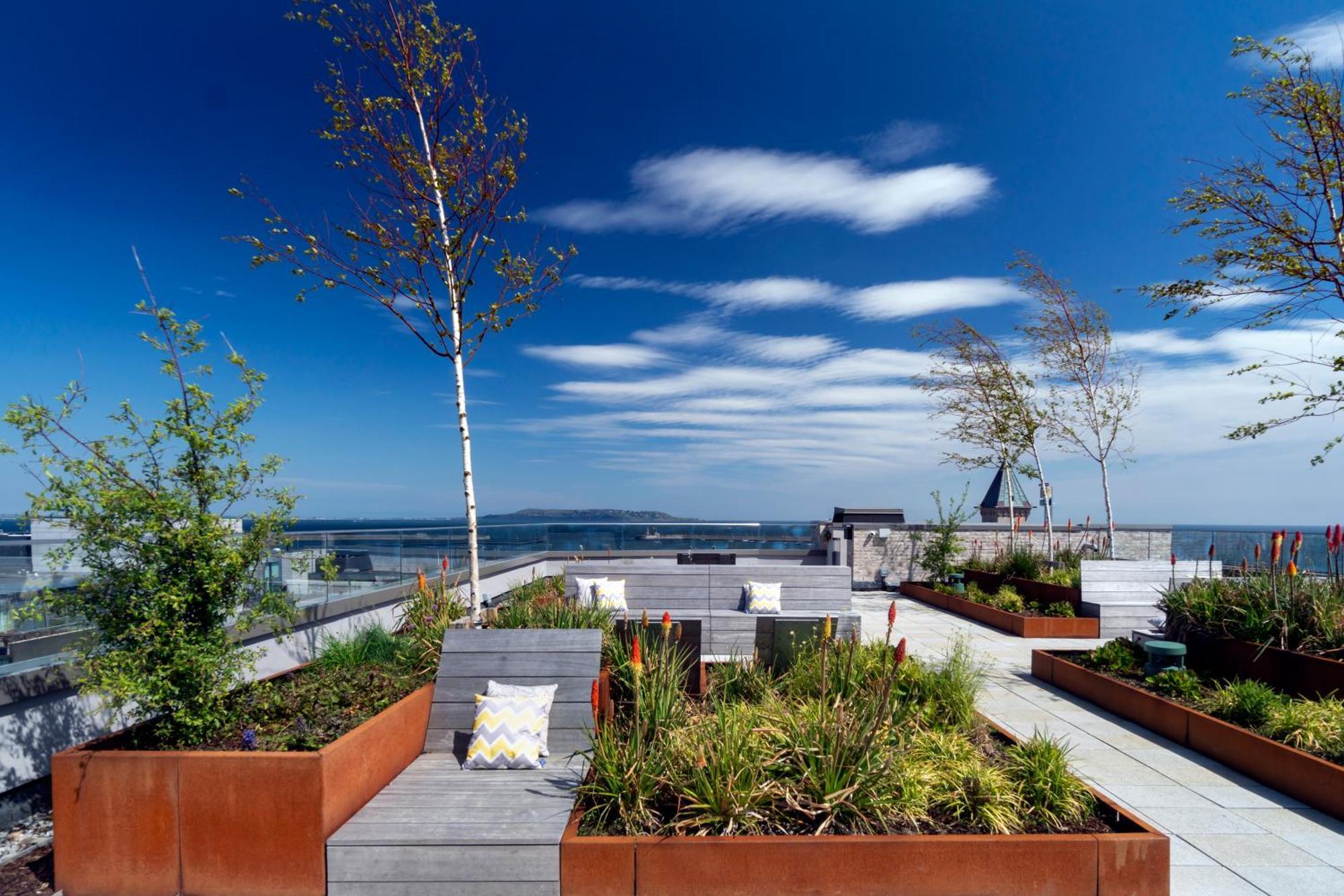 Niche Living - Dun Laoghaire Dublin Exteriör bild